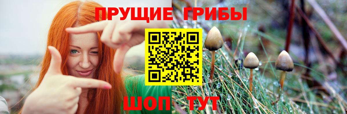 Псилоцибиновые грибы Cubensis  Галлюциногенные грибы мухоморы  Кимовск  Вход с VPN 